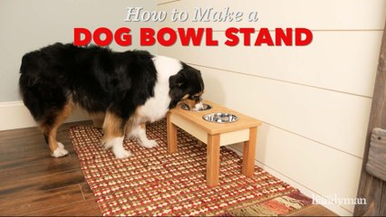Saturday Morning Workshop How To Build A Dog Bowl Stand