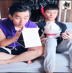 FUNNY CHINÊS