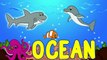 Ocean Animals for Kids Sea Animal Songs for Children Learning to Spell Toddlers Preschool