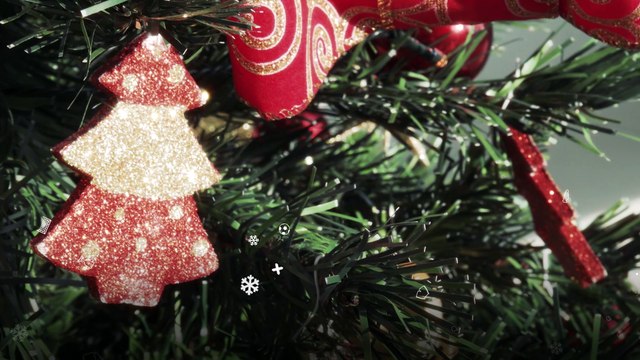 SETTORE GIOVANILE NATALE VISMARA