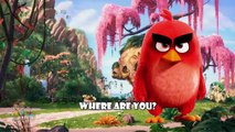 The Angry Birds Finger Family | Nursery Rhymes | 2D Animation From TanggoKids Nursery Rhym