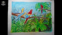 How to draw parrots step by step with pastels colour (164)