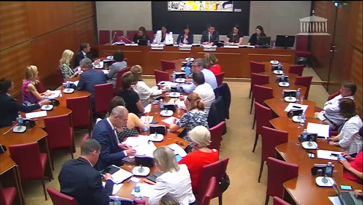 Commission des affaires culturelles : Communication de la mission flash sur les directeurs d’école ; Bilan de l’activité de la commission des Affaires culturelles et de l’Éducation (2017-2018) - Mercredi 1 août 2018