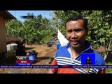 11 kecamatan Sekitar Gunung Kidul Dilanda Kekeringan-NET12