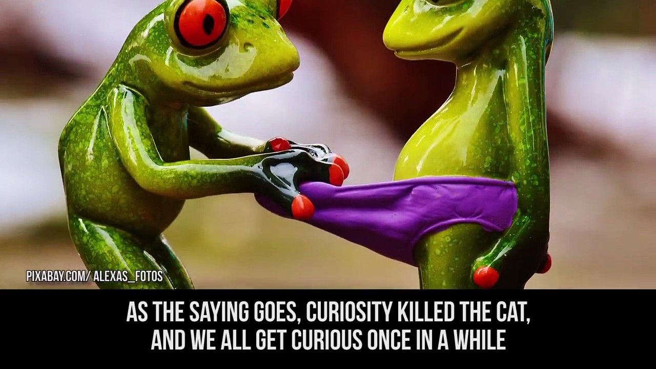 10 Things You Should NEVER Google pt.2