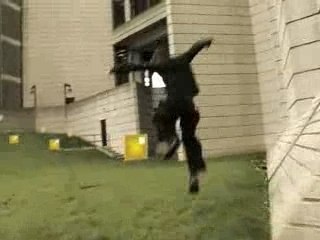 Videogame Ninja Leaps into Real Life