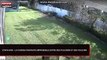 États-Unis : Une course-poursuite improbable entre des policiers et des voleurs dans un jardin (Vidéo)