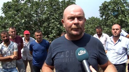 Dünyaca ünlü meyveye ihracat yasağı