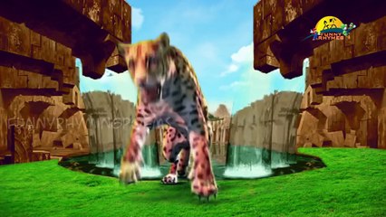 Finger Family Rhyme with 3D Wild Animals | 3d Animals finger family children song