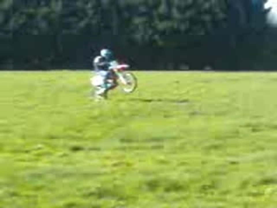 aurel 125
