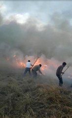 Karslı Çiftçinin Bir Yıllık Emeğini Kül Olmaktan Komşuları Kurtardı