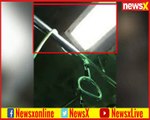 Watch Snake in Mumbai Local train