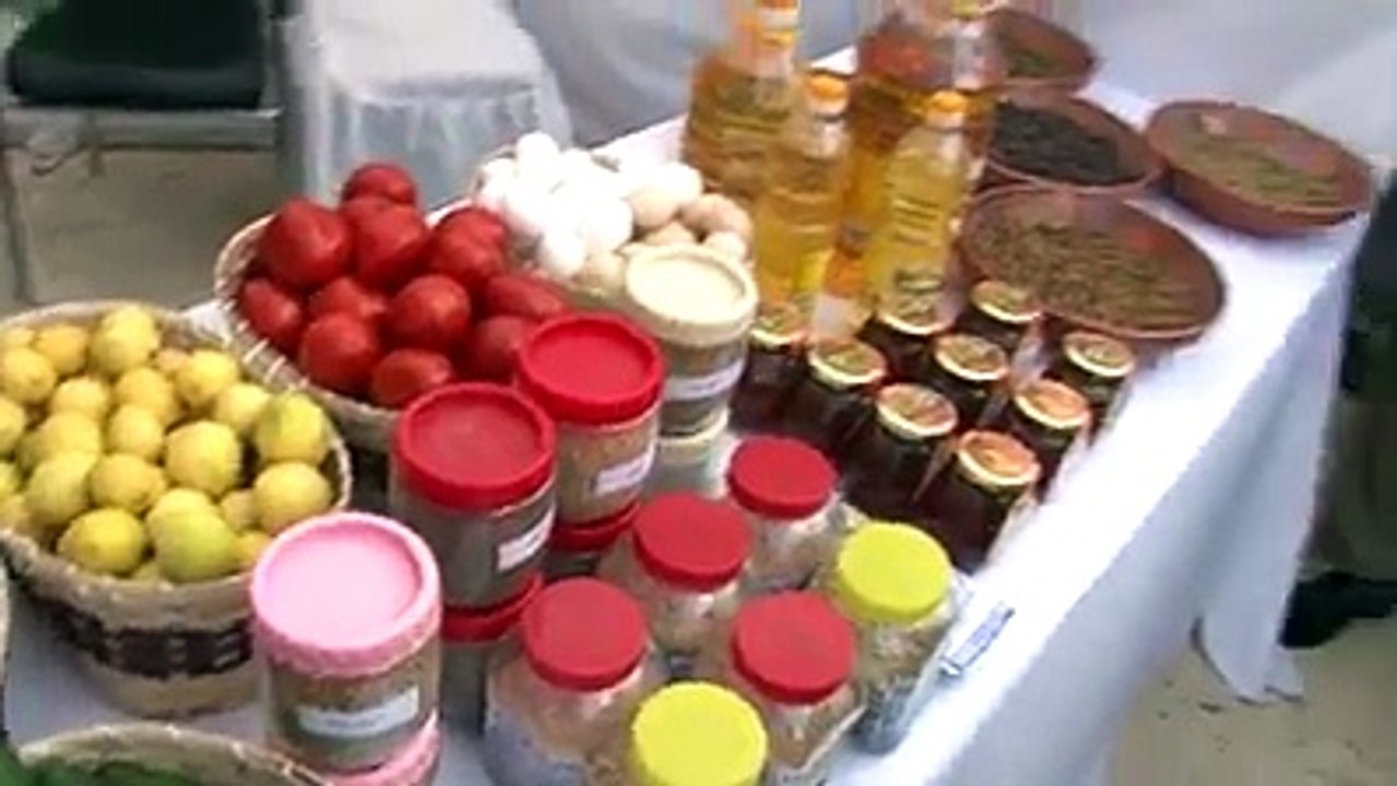 بازدید از نمایشگاه محصولات زراعتی و صنعتی در ولایت پنجشیر
