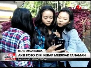 Dipakai untuk Selfie, Taman Bunga Rusak Diinjak-injak