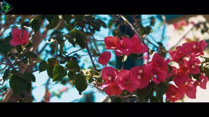 Γιώτα Γρίβα - Έχασα Τη Γη (Official Video Clip)