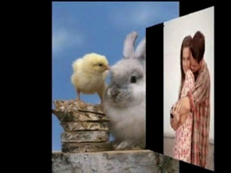 OBICHAM TE ZAHARCHE!!!