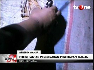 Polisi Berhasil Gagalkan Pengiriman 2 Ton Ganja
