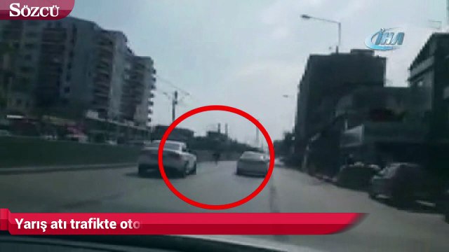 Yarış atı trafikte otomobil sürücülerine korku dolu anlar yaşattı