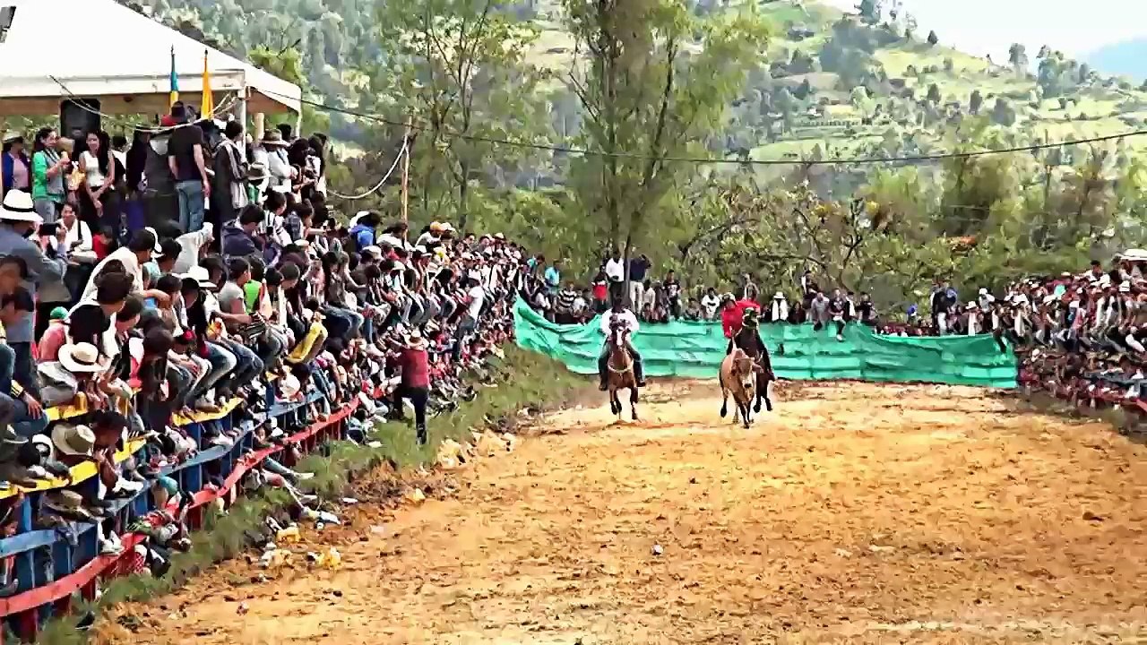 COLEO EN TIBIRITA CUNDINAMARCA