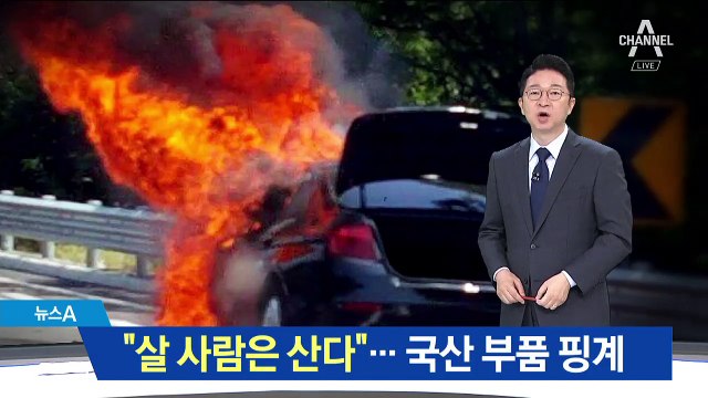 BMW 영업소 “국산 부품 때문에 불”…책임 떠넘기기