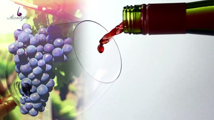 SPOT ANUNCIO MONTEFER