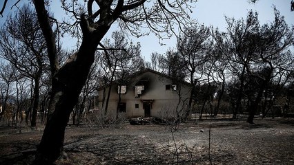 Στους 87 νεκρούς ο απολογισμός της πυρκαγιάς - Αγνοείται ένας άνθρωπος