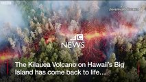 Hawaii volcano- Mount Kilauea volcano erupts - BBC News