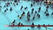 Activités vacances : La piscine olympique fait le plein