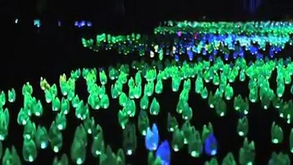 Un jardín botánico en Los Angeles se ha convertido en un bosque encantado de luces para deleite de niños y adultos en estas festividades.