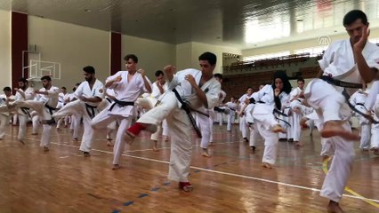 Wushu Budokaido Kyokushin Milli Takımı kampı sona erdi - HATAY