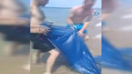 Yaralı Caretta Caretta Kıyıya Vurdu