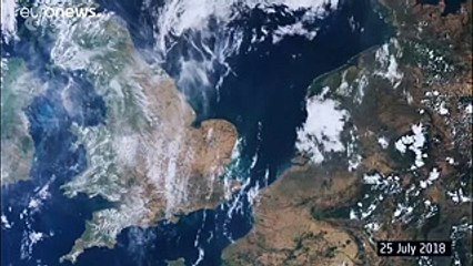Seca na Europa arrasa colheitas e ameaça subida de preços