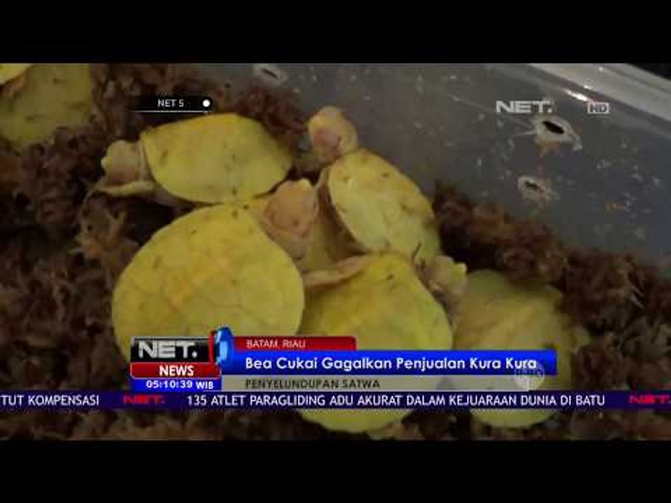 Bea Cukai Gagalkan Penyelundupan Satwa Langka-NET 5