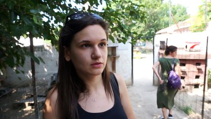 Sokak hayvanları öksüz kaldı - EDİRNE