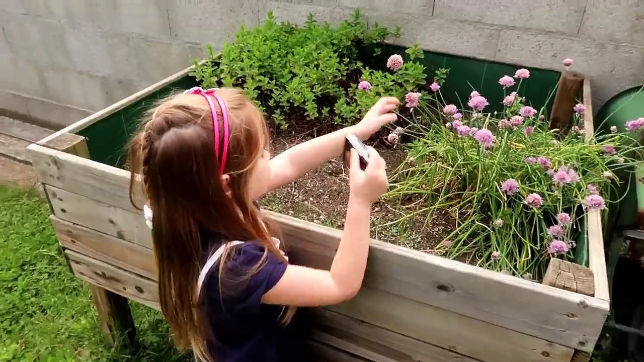 BRICOLAGE ET JARDINAGE   Confection d'un nouveau jardinet pour la maison ! Outdoor [VLOG]