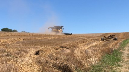 Journée de moisson, en août 2018