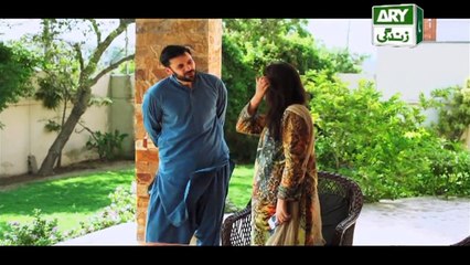 Mein Mehru Hoon Ep 207 & 208 - on ARY Zindagi in High Quality 2nd August 2018