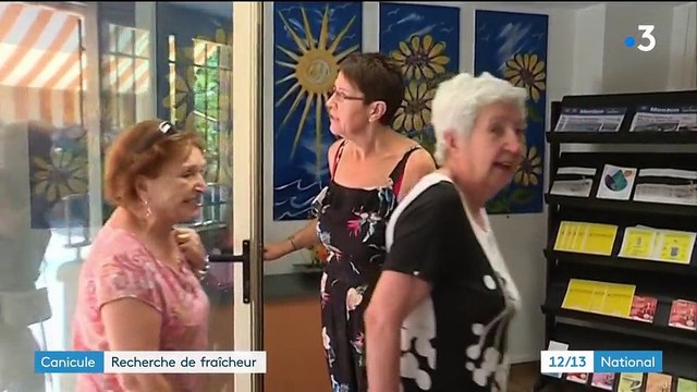 Canicule : recherche de fraîcheur