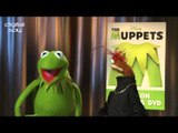 The Muppets interview: We don't like to wear clothes