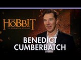 Benedict Cumberbatch 'The Desolation of Smaug'