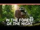 Doctor Who 'In The Forest of the Night' Review
