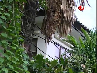 Rampok Berkedok PRT (Bagian 1)