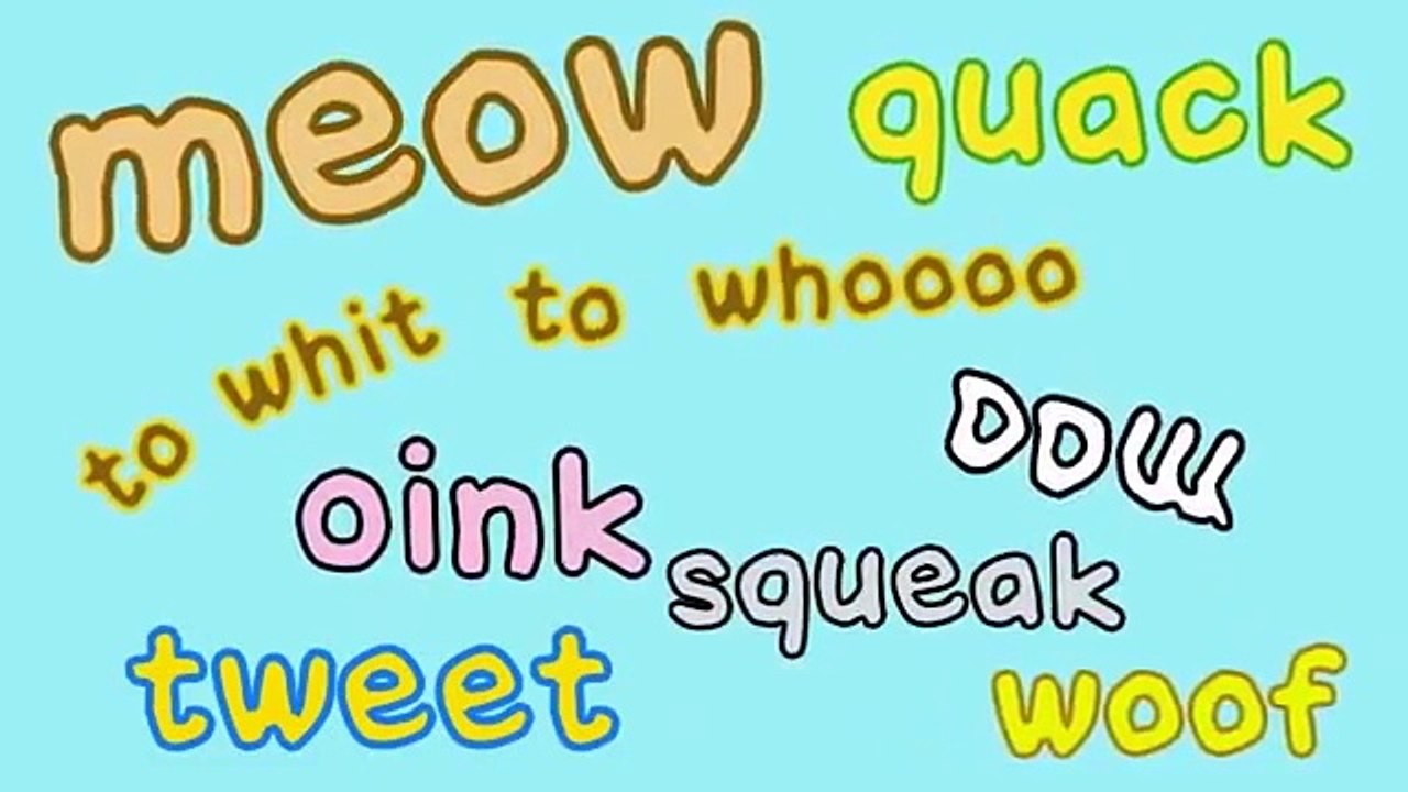 The Animal Sounds Song