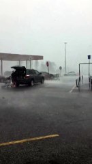 Lady Returns Shopping Cart in Fierce Storm