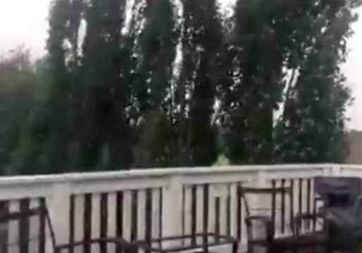 Boy Cries in Fright After He and his Mom Witness Lightning Strike Tree in Their Yard