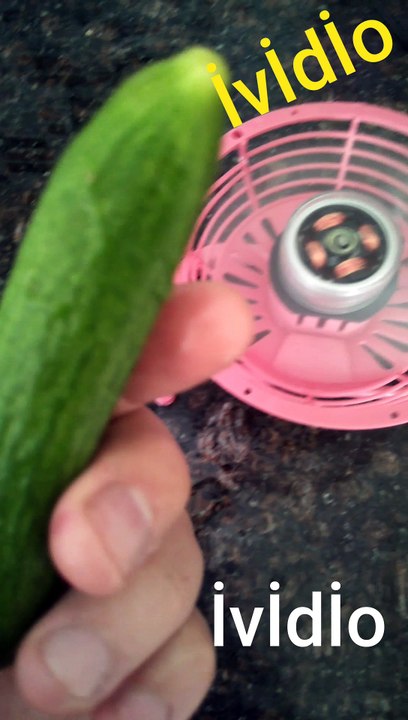 Fan in cucumber