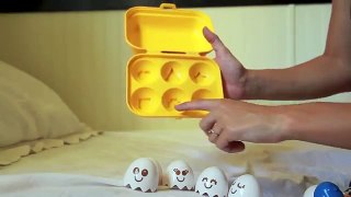TOMY Educational Egg Crate Carton Toy Hide N Squeak Review