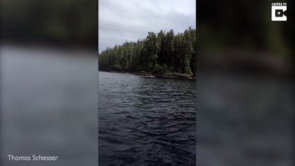 Cet aigle capture un poisson dans l'eau !! Filmé en super slow motion