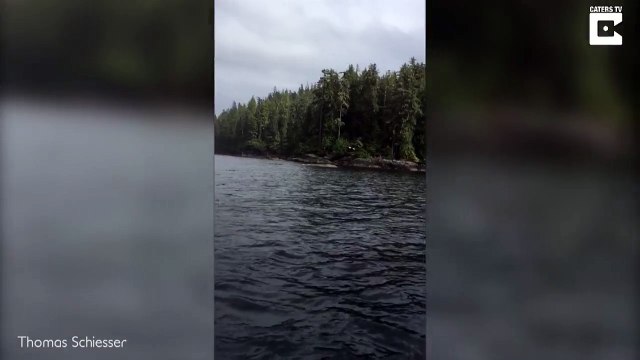 Cet aigle capture un poisson dans l'eau !! Filmé en super slow motion
