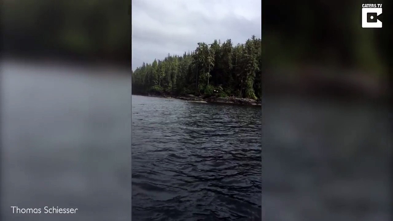 Cet aigle capture un poisson dans l'eau !! Filmé en super slow motion